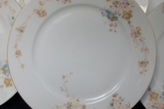 BAWO & DOTTER  AUTUMN VINE, BLUE FLORAL-   DINNER PLATE  9  1/2"     .....   https://www.jaapiesfinechinastore.com
