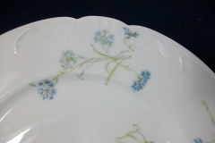 HAVILAND BLUE CORNFLOWER- DINNER PLATE 10 1/8" ..... https://www.jaapiesfinechinastore.com