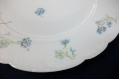 HAVILAND BLUE CORNFLOWER- DINNER PLATE 10 1/8" ..... https://www.jaapiesfinechinastore.com