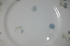 HAVILAND BLUE CORNFLOWER- LUNCHEON  PLATE 9 1/8" ..... https://www.jaapiesfinechinastore.com