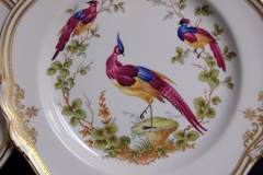 SPODE CHELSEA BIRD Y8555- DINNER  PLATE ..... https://www.jaapiesfinechinastore.com