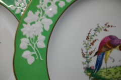SPODE CHELSEA  BIRD GREEN R4689 SCALLOPED- DINNER PLATE  #8   .....         https://www.jaapiesfinechinastore.com