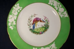 SPODE CHELSEA  BIRD GREEN R4689 SCALLOPED- DINNER PLATE  #8   .....         https://www.jaapiesfinechinastore.com
