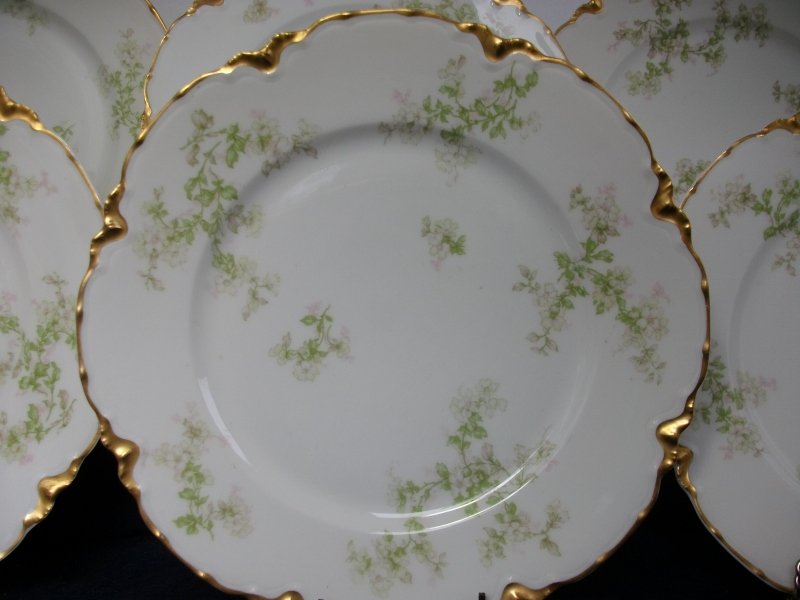 HAVILAND LIMOGES CHINA- APPLE BLOSSOM #21765- SCHLEIGER 61L- GOLD 